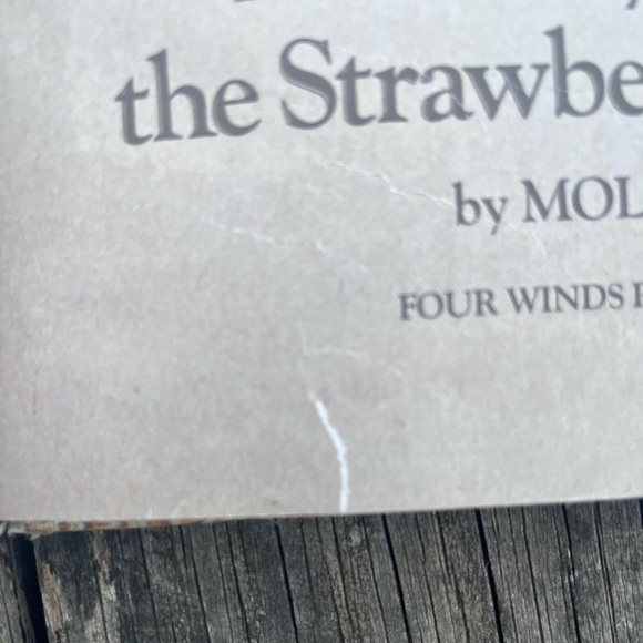 ‘THE GREY LADY AND THE STRAWBERRY SNATCHER’ HARDCOVER VINTAGE KIDS BOOK - Picture 9 of 10